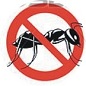 Pest Control and Fumigation Services in kenya
