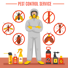 PEST CONTROL IN KENYA, snakes control services, snakes control near me, snakes removal services