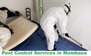 pest control companies in kenya, fumigation compoanies in kenya, fumigation services in kenya, pest control services in kenya